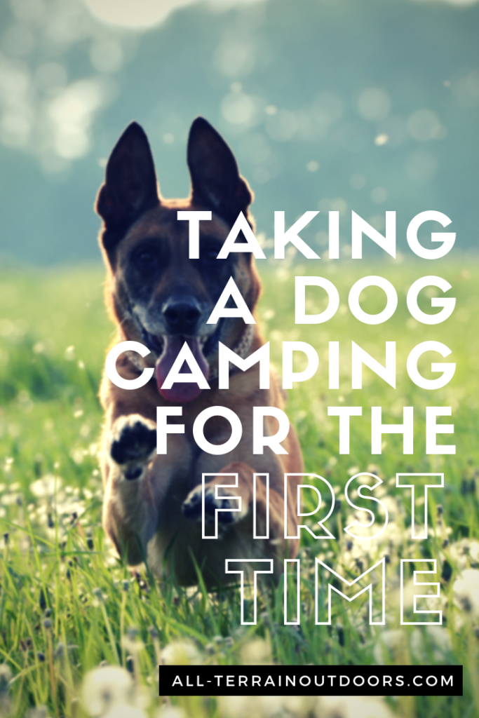 taking a dog camping for the first time
