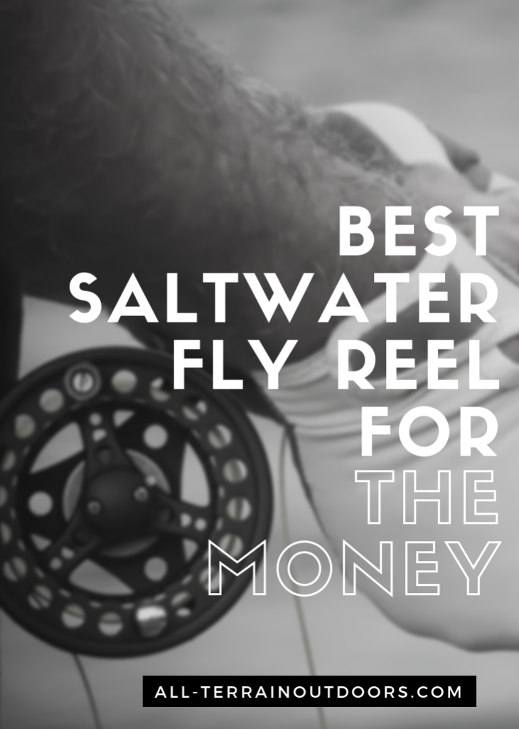 best saltwater fly reel for the money