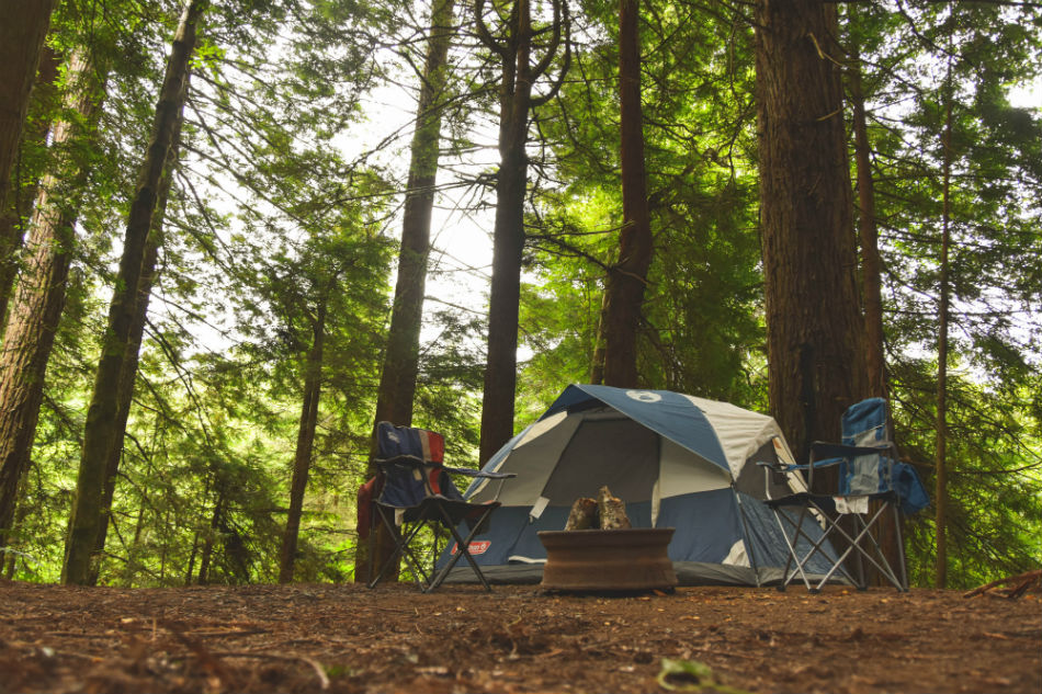 best camping gear for families