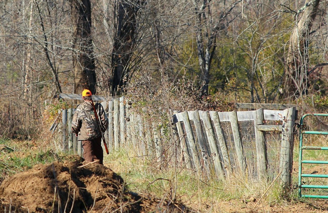 a hunter going to retrieve his film trail camera